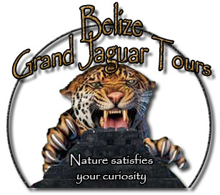 Belize Grand Tours